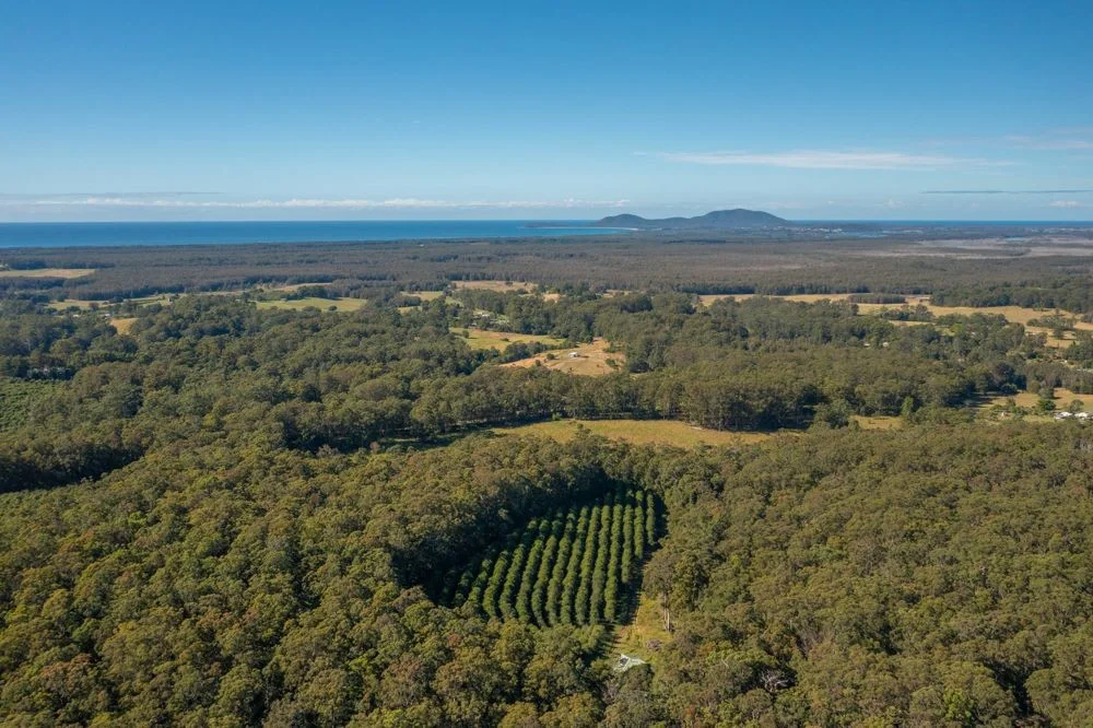 137 Browns Road, Barraganyatti NSW 2441