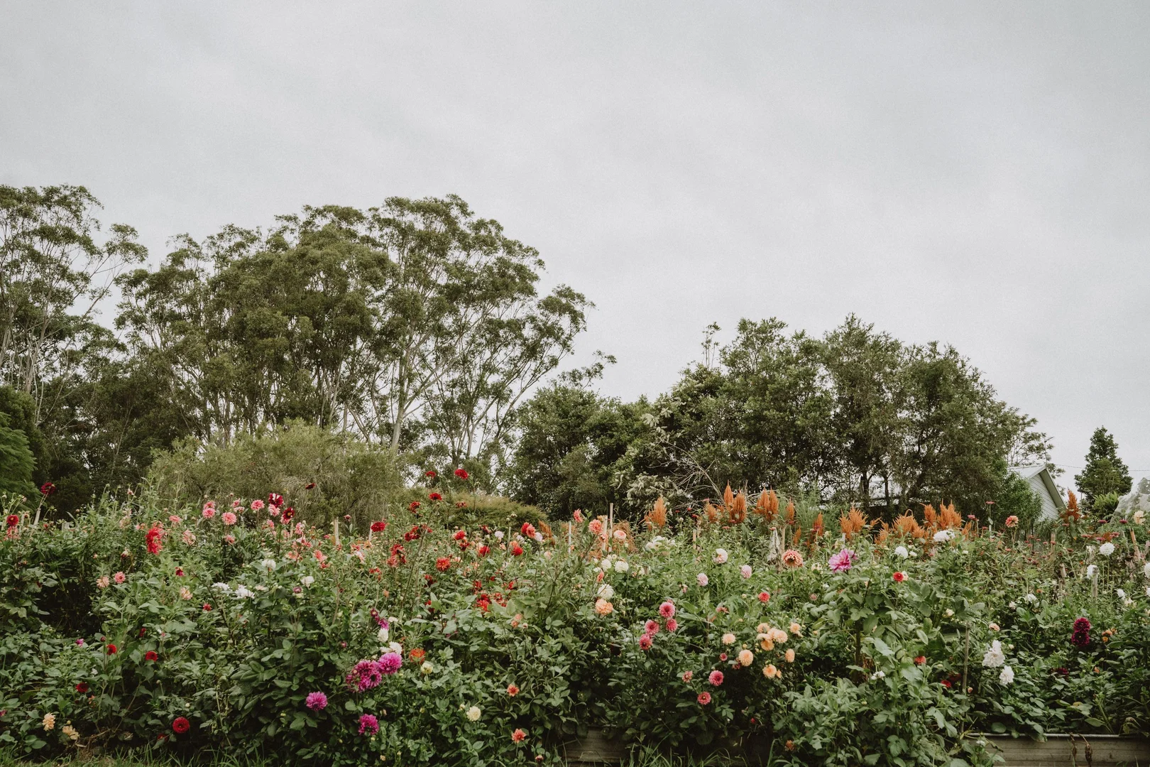 Additional image 15 of 19-25 Main Street, Eungai Creek NSW 2441