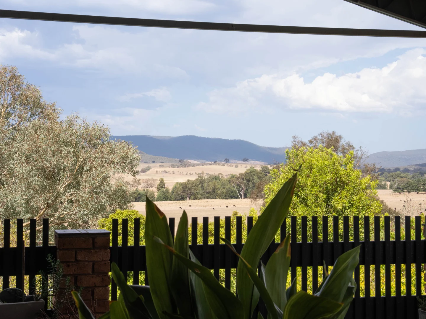 Additional image 29 of 10 Wingeretta Close, Forest Grove NSW 2795