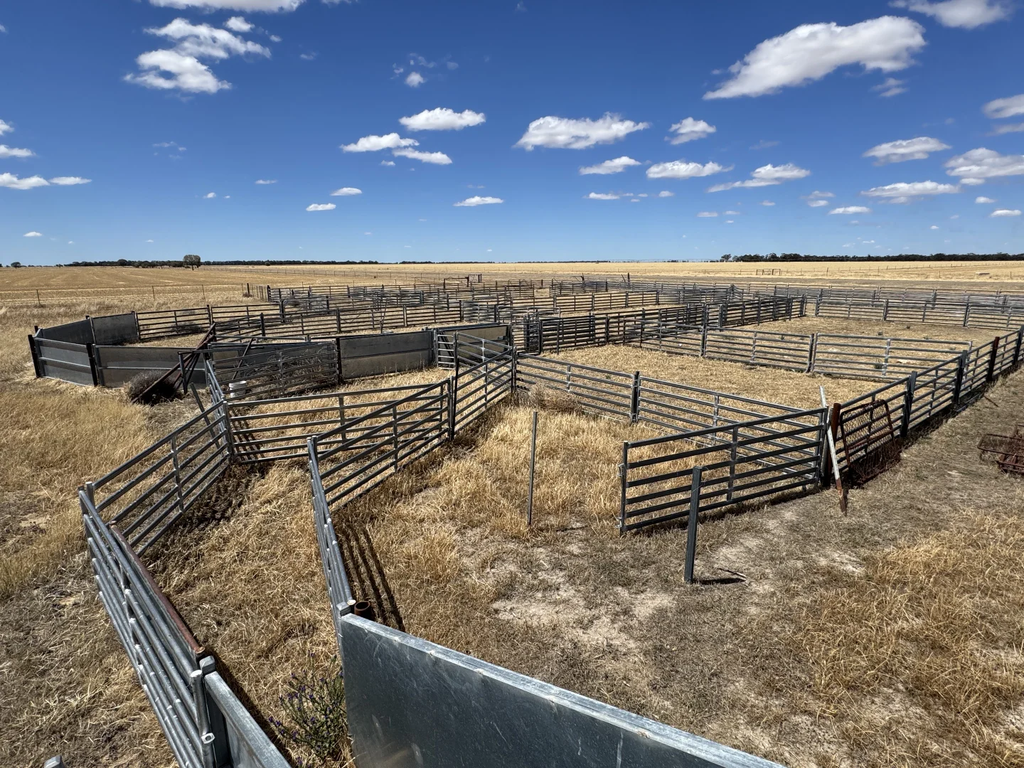 Additional image 24 of 300 Devon Road, Deniliquin NSW 2710