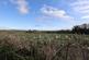 Additional image 25 of The Folly, Chewton Mendip