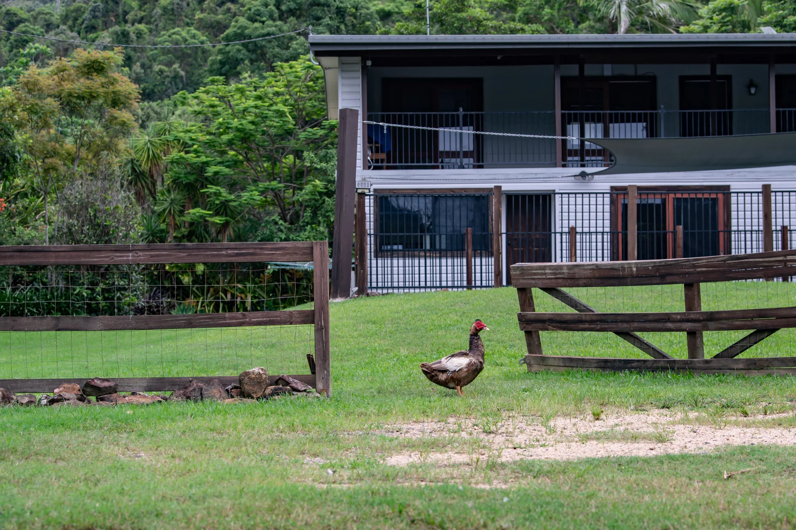 Additional image 25 of 122 Patullo Road, Gregory River QLD 4800