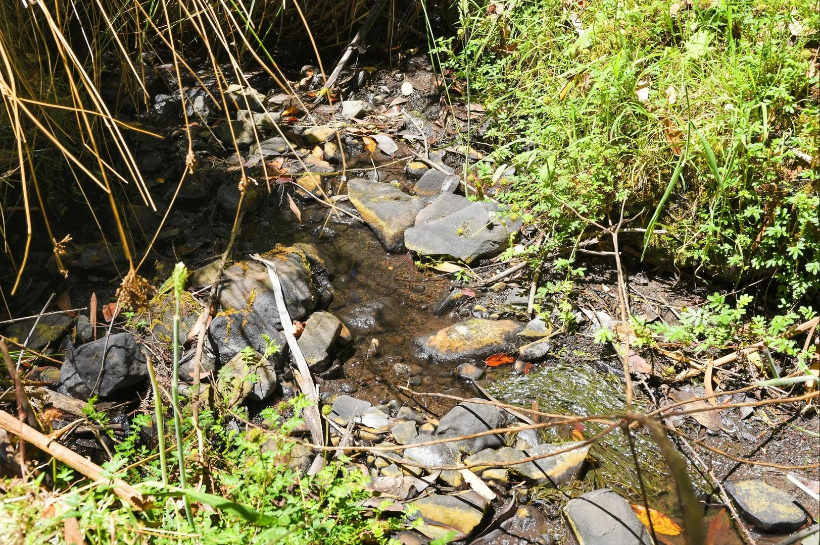 Additional image 3 of Lots 8 & 9 Esperance Coast Road, Dover TAS 7117