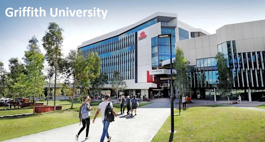 Additional image 33 of 207 Heeb Street, Ashmore QLD 4214