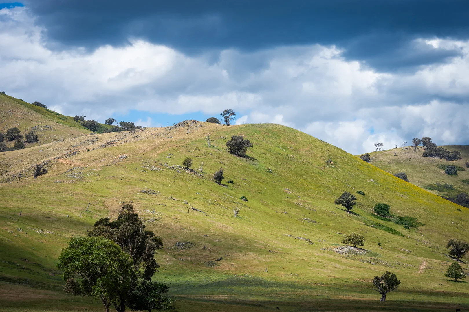 Additional image 19 of 4118 Murray River Road, Thologolong VIC 3691