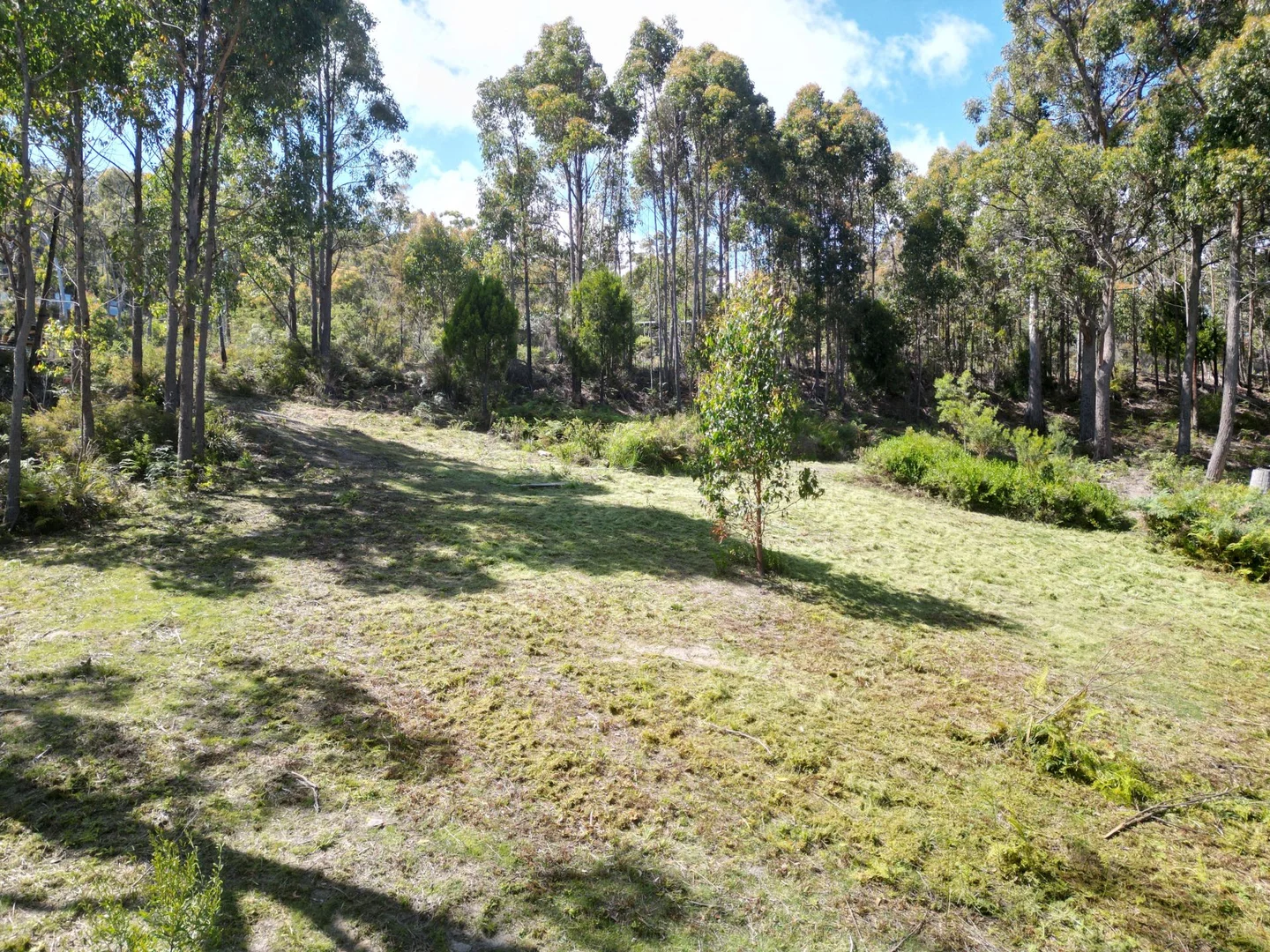 Additional image 10 of 1 Woodland Grove, Tugrah TAS 7310