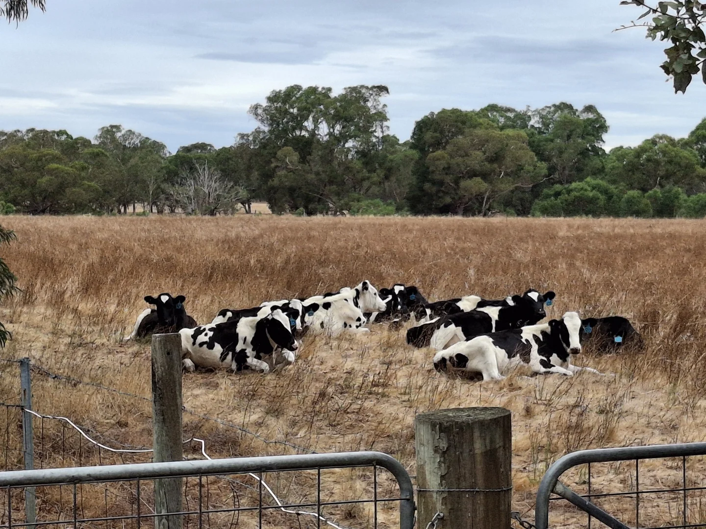 Additional image 28 of Manjimup WA 6258