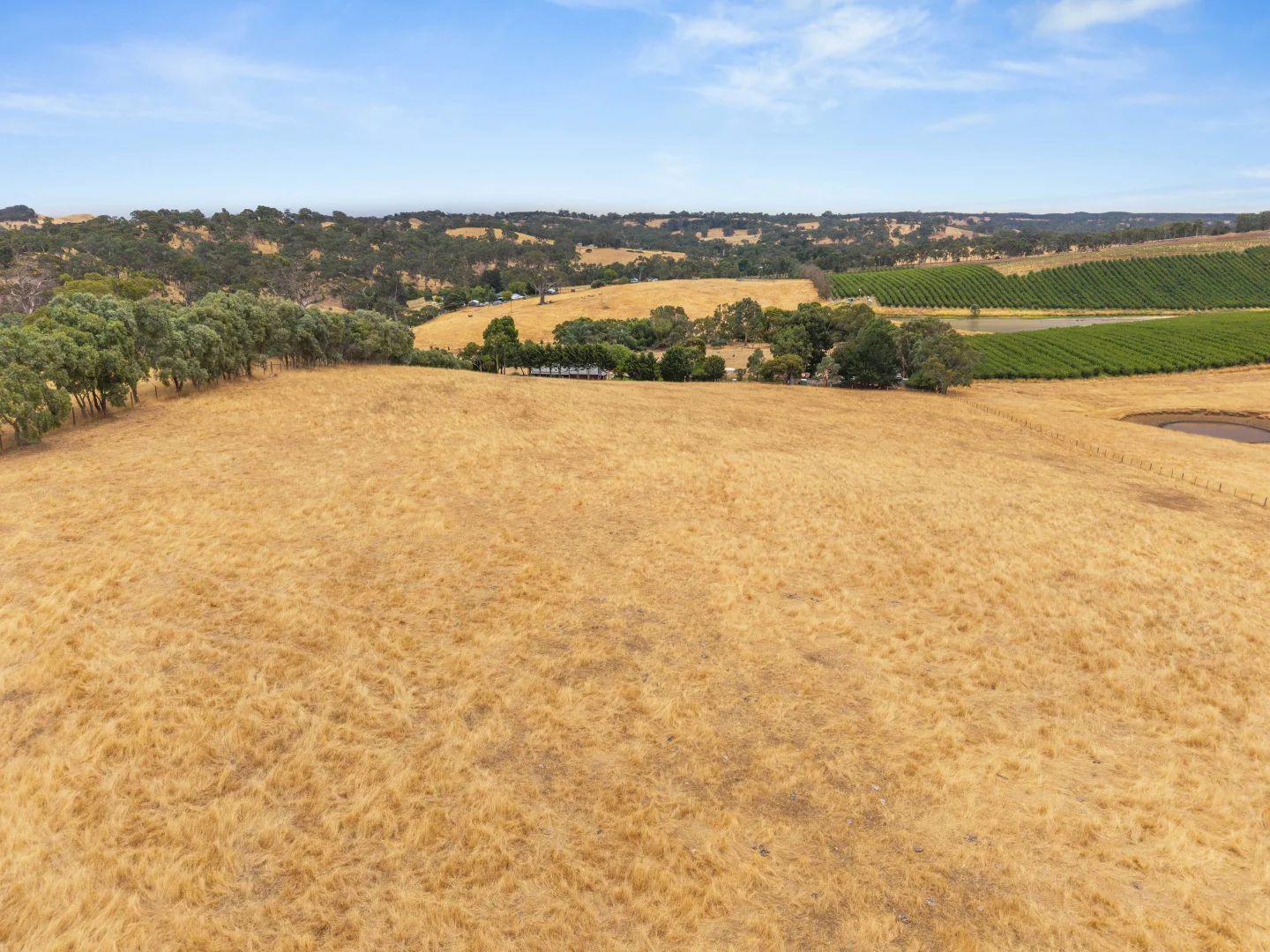 Additional image 8 of 226 Forreston Road, Forreston SA 5233