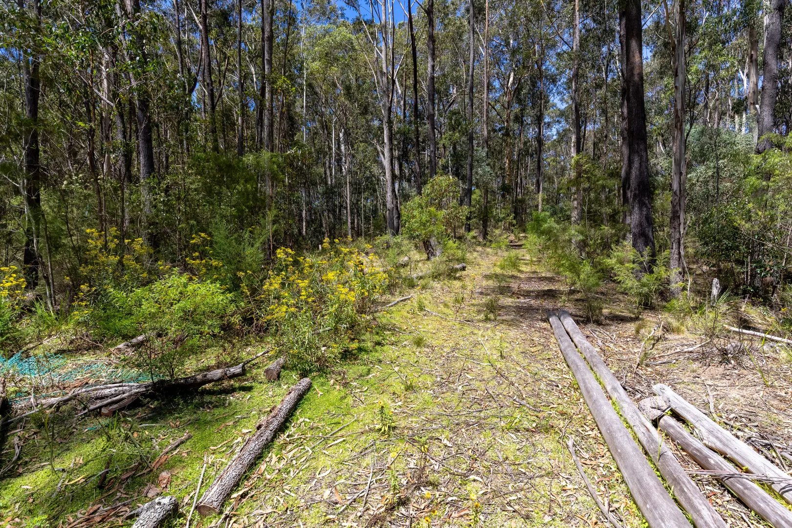 Additional image 13 of 1824 Mount Darragh Road, Wyndham NSW 2550