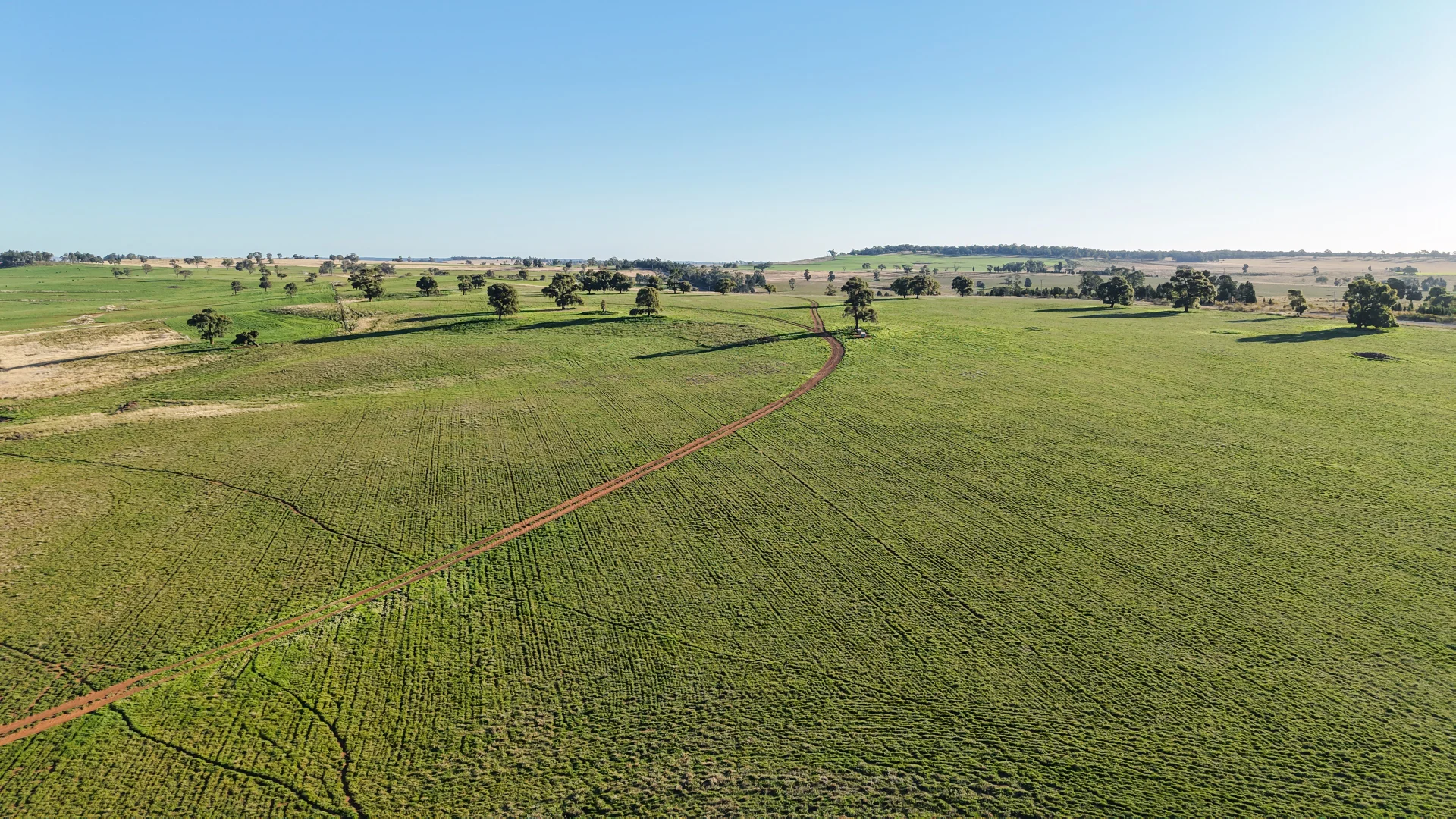 Additional image 4 of 38 Tallawonga Road, Elong Elong NSW 2831