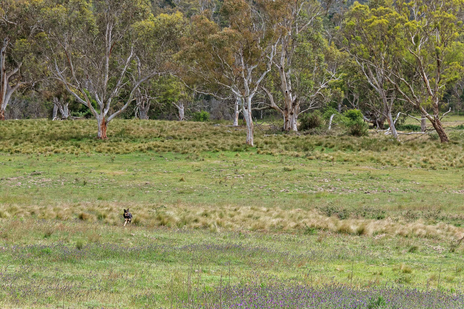 Additional image 8 of 14/371 Mayfield Road, Braidwood NSW 2622