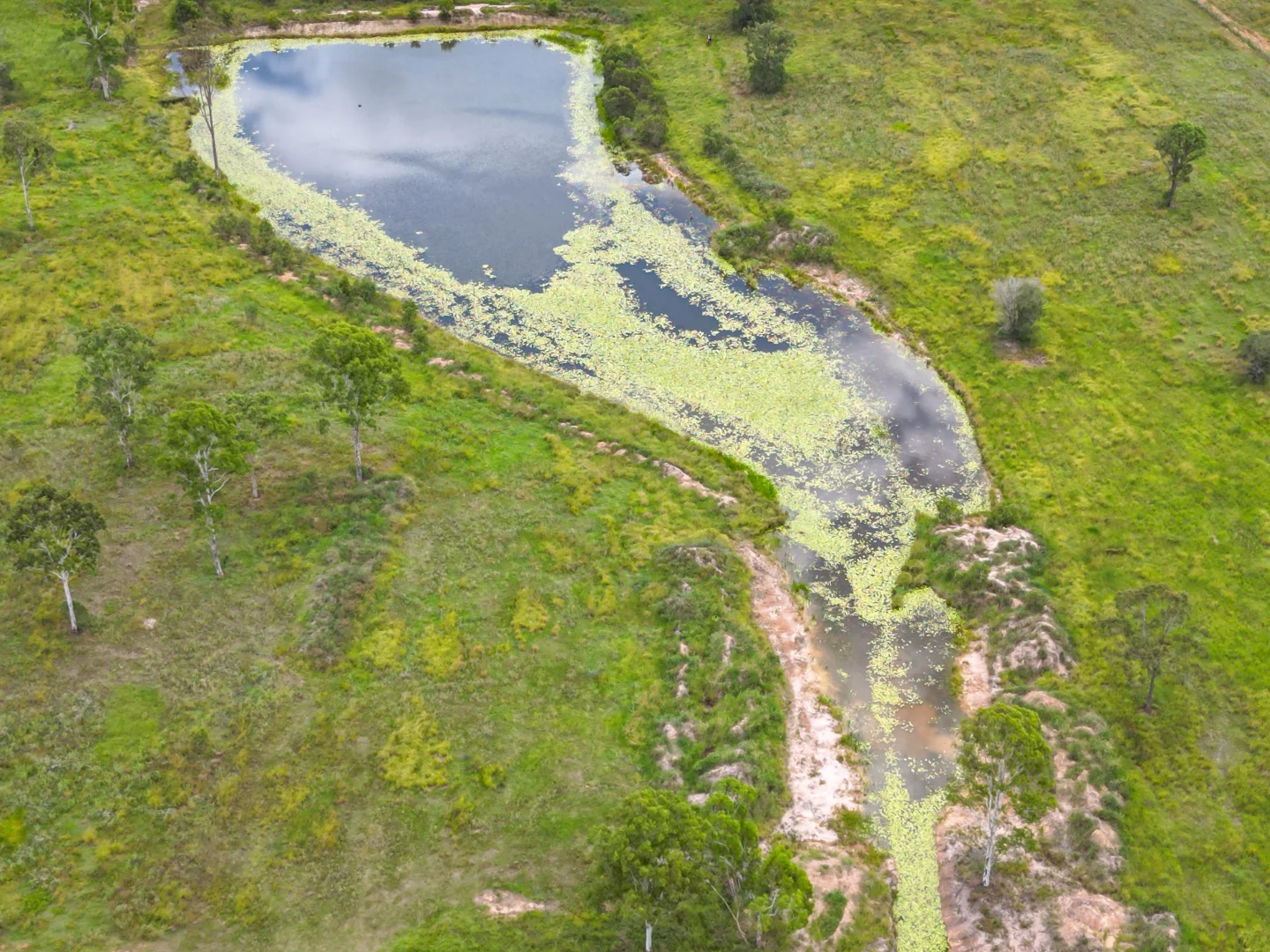 Additional image 17 of 594 Promisedland Road, Promisedland QLD 4660