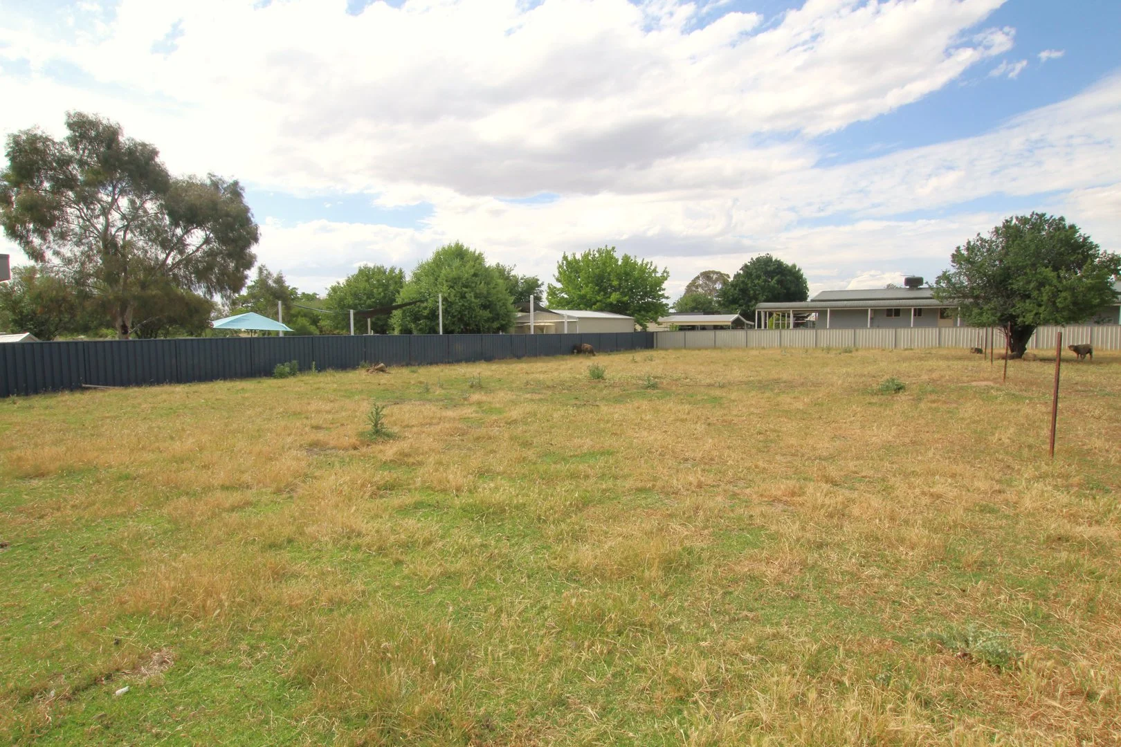 Additional image 22 of 57 Brial Street, Boorowa NSW 2586
