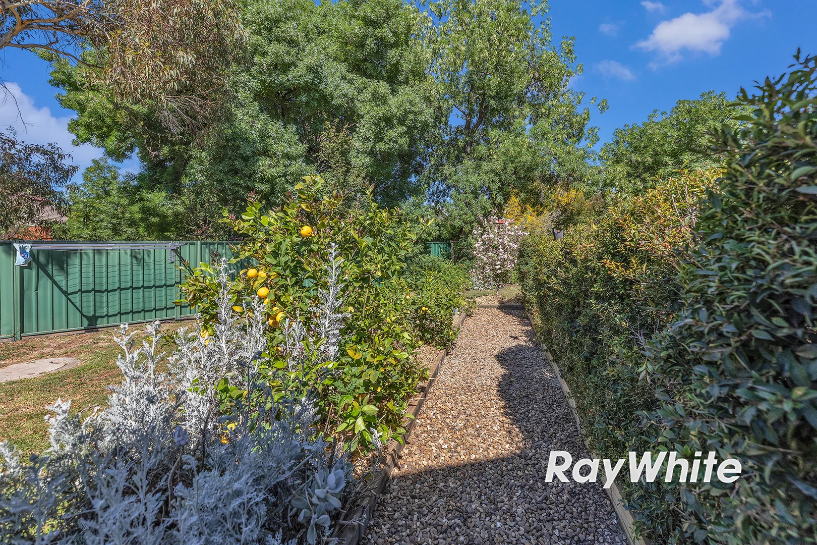 Additional image 46 of 37 Hopwood Street, Echuca VIC 3564