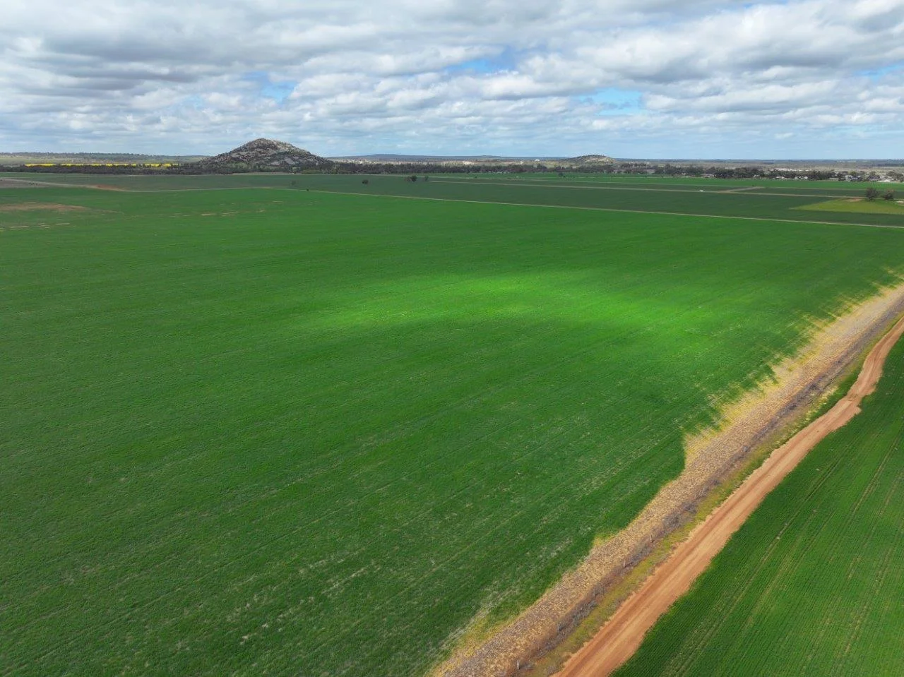 Additional image 6 of - Oneil Street, Pyramid Hill VIC 3575