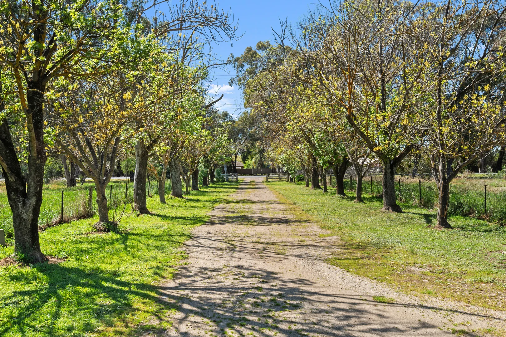 Additional image 3 of 64 Mansfield Road, Benalla VIC 3672