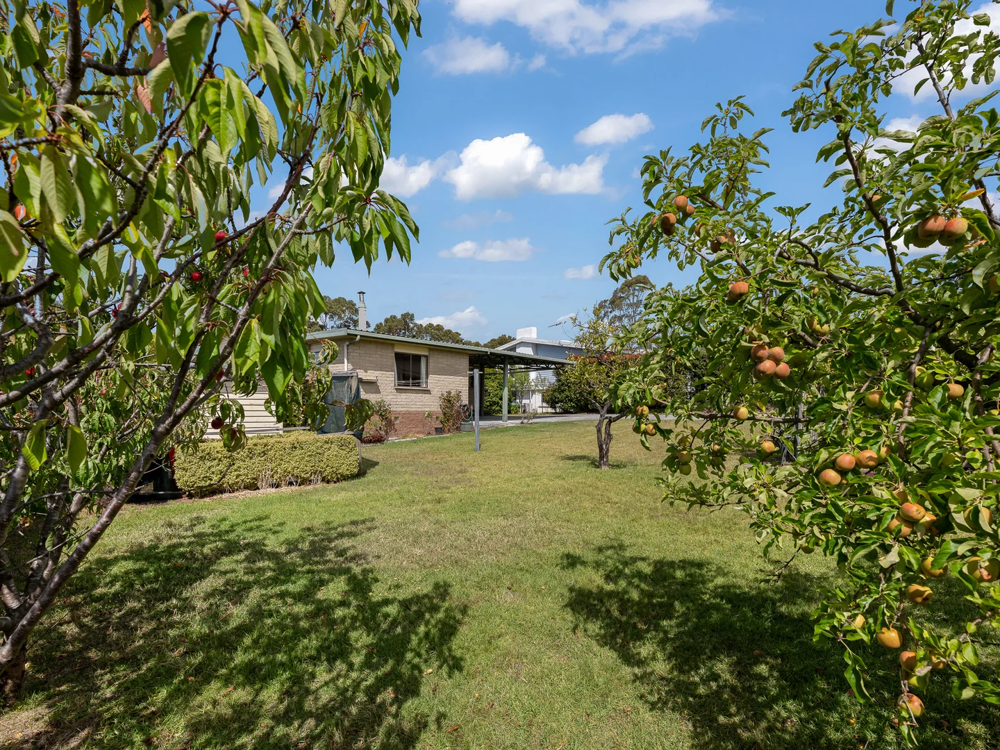 Additional image 29 of 12 Atlas Drive, St Helens TAS 7216