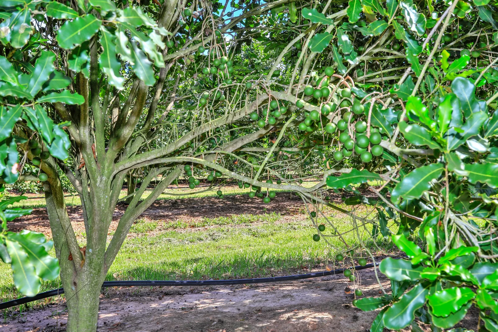 Additional image 15 of 195 Pashleys Road, Welcome Creek QLD 4670