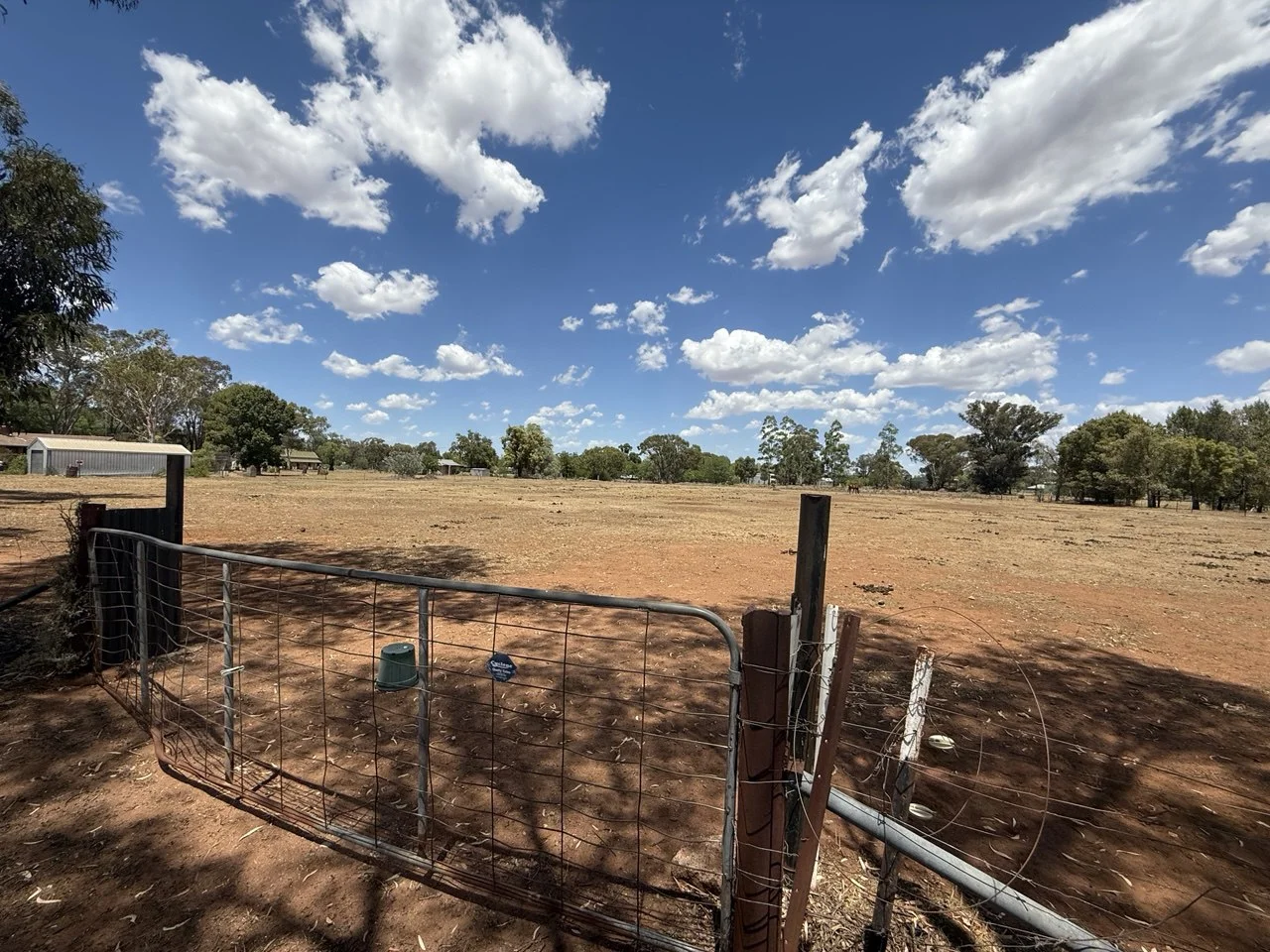 Additional image 5 of 50 Gobondery Street, Trundle NSW 2875