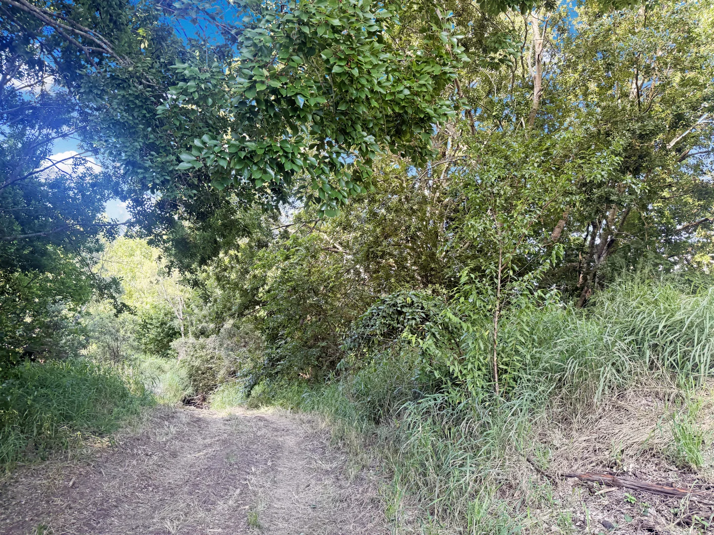 Additional image 8 of Burnett Highway, Goomeri QLD 4601