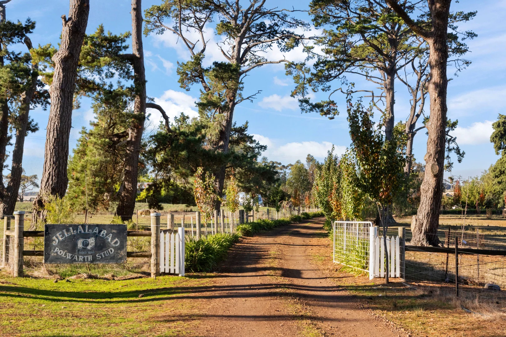 Additional image 21 of 136 Darlington-Carranballac Road, Darlington VIC 3271