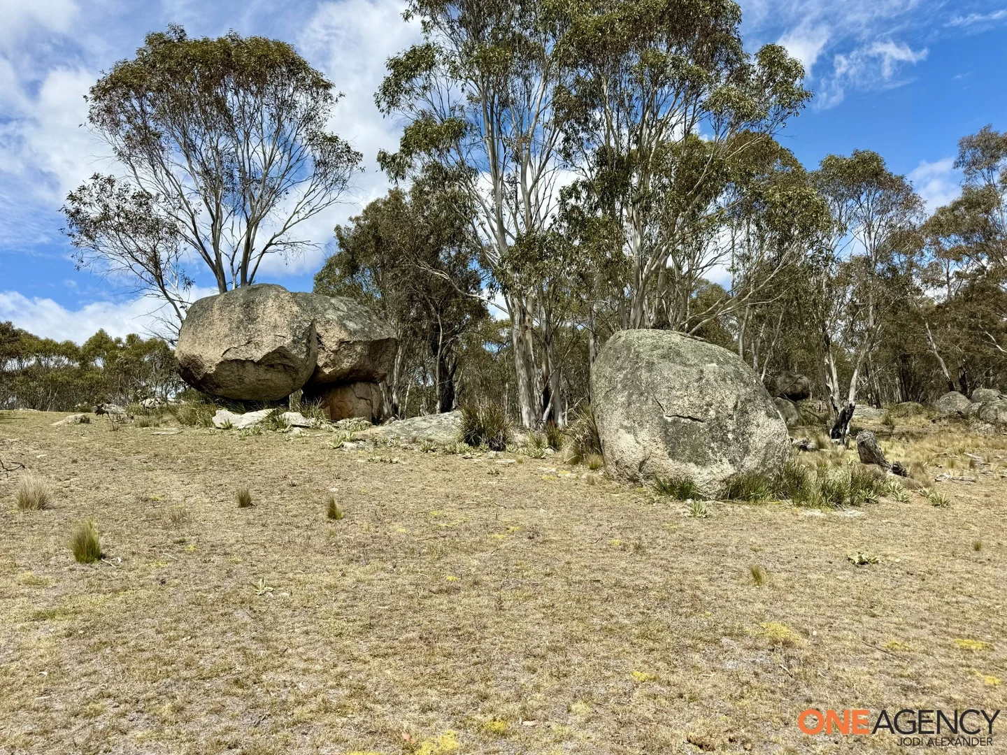 Additional image 15 of Lots 73 & 78 / 125 Fistys Lane, Jerangle NSW 2630