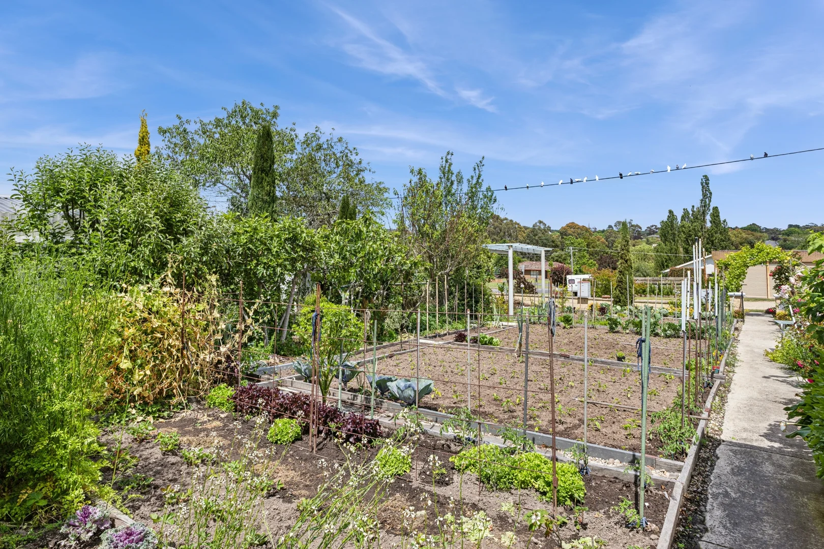 Additional image 12 of 34 Rogers Street, Creswick VIC 3363