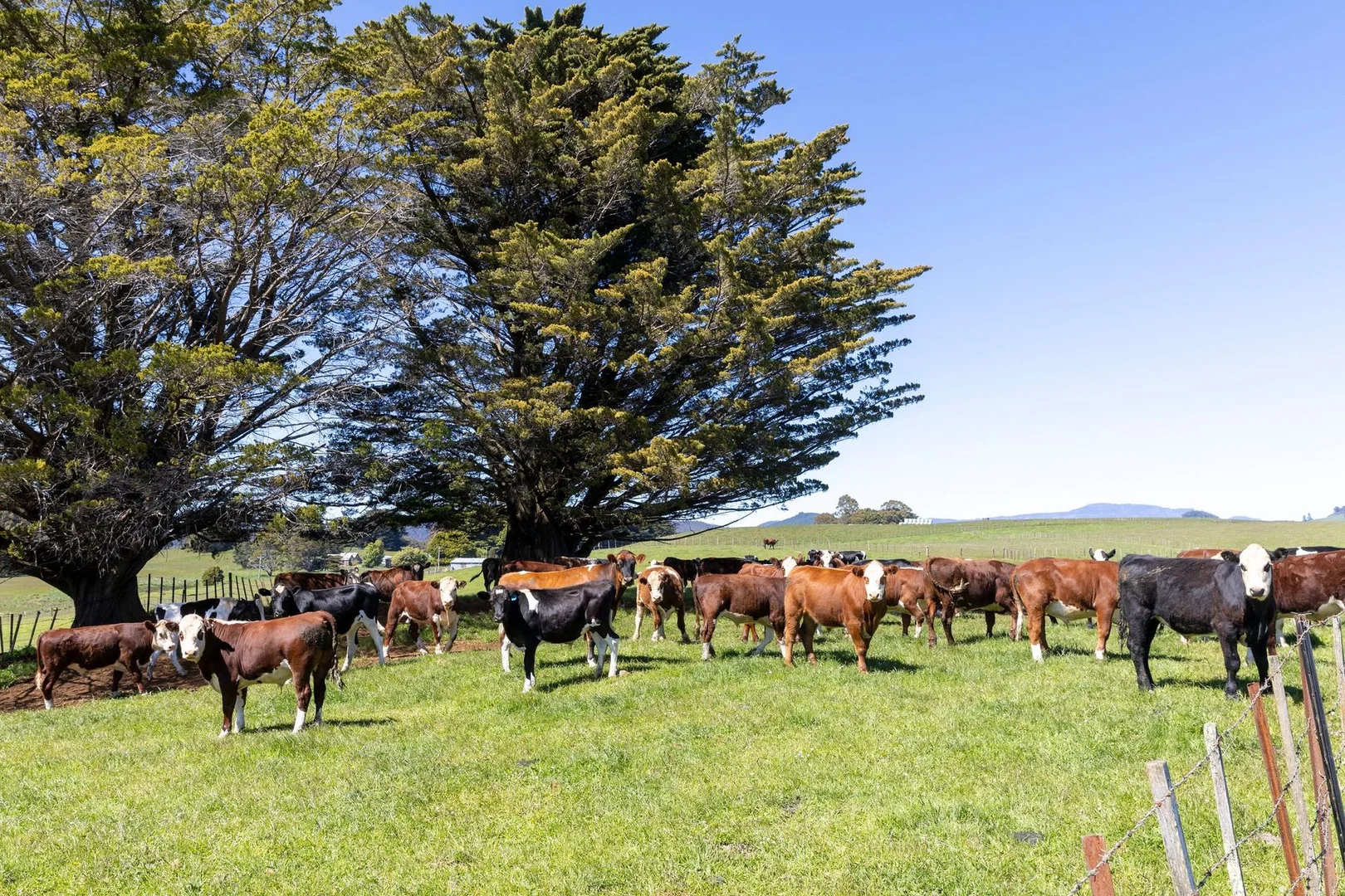 Additional image 16 of 1532 Preston Road, Preston TAS 7315