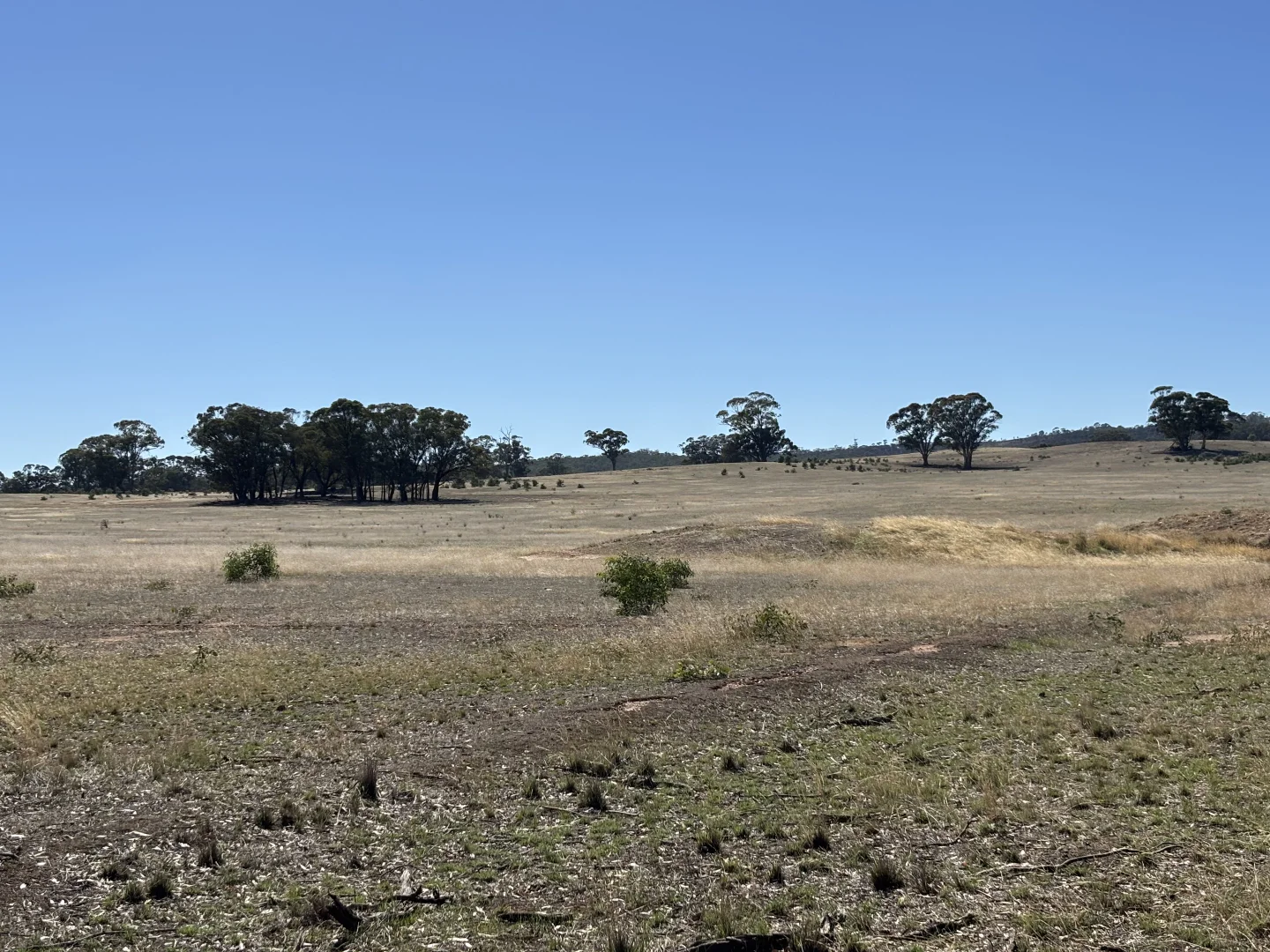 Additional image 3 of 0 Fitzpatrick Road, St Arnaud VIC 3478