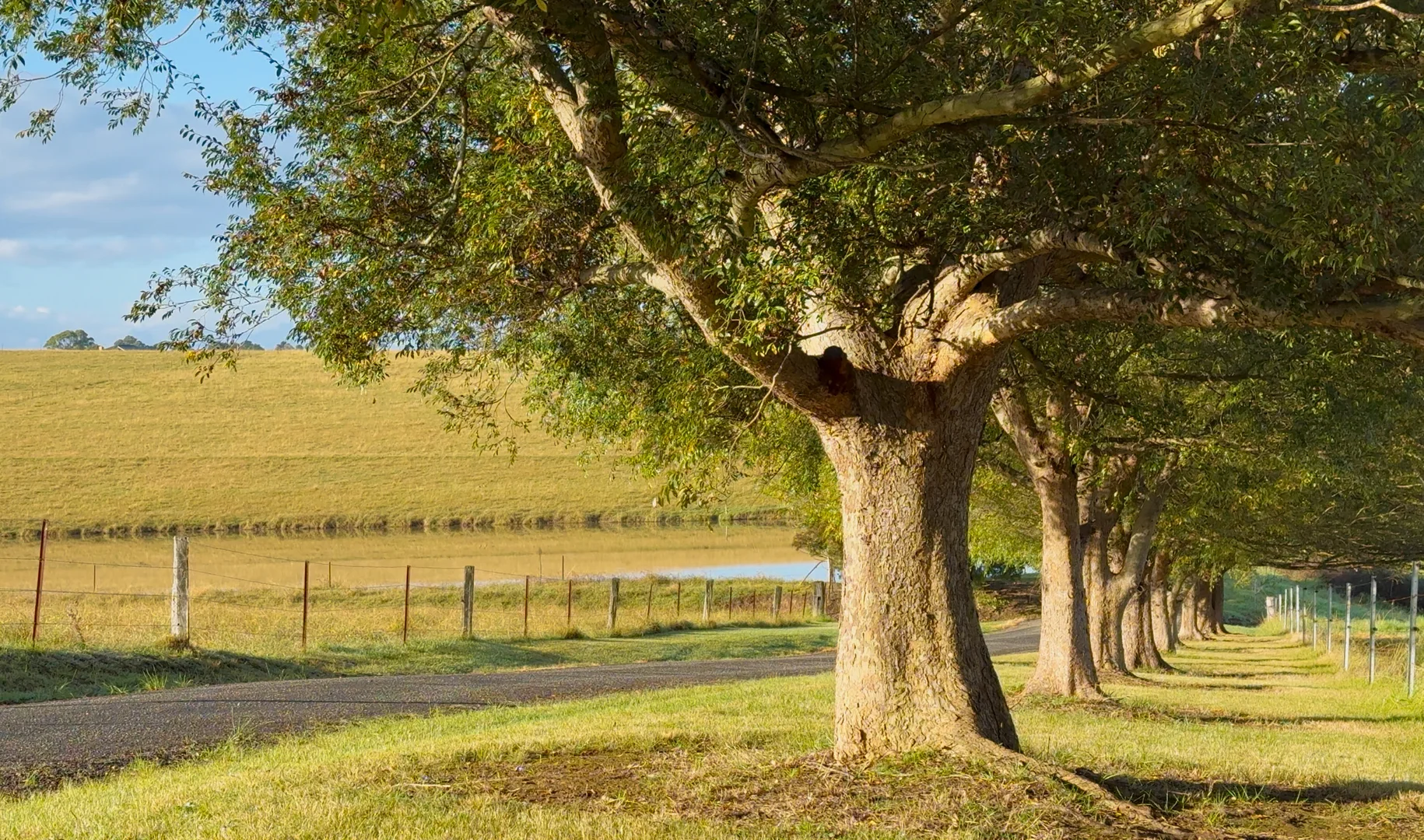 Additional image 4 of 95 Craigend Road, The Oaks NSW 2570
