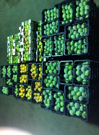 Additional image 12 of Midlands Road, Dongara WA 6525