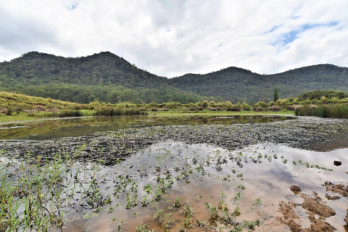 Additional image 18 of 1670 Watagan Creek Road, Watagan NSW 2325