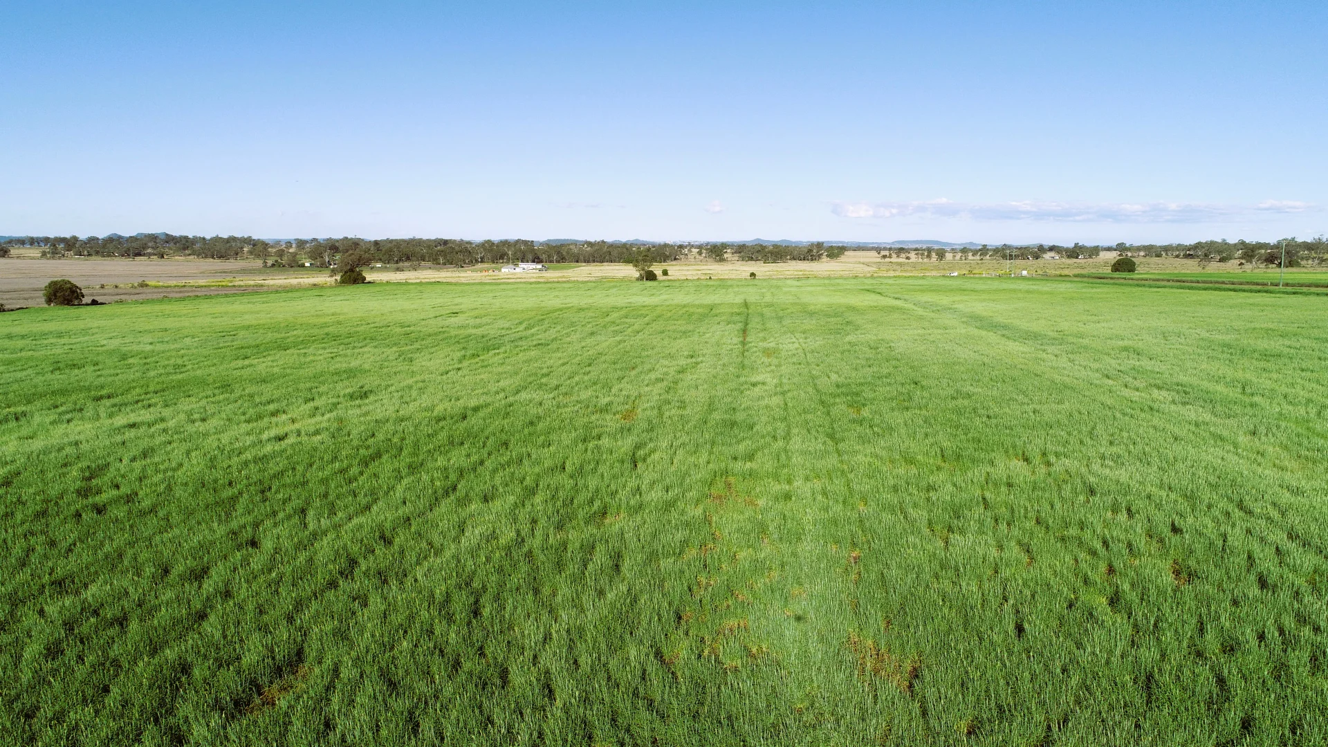 Additional image 35 of 'The Overflow' 102 Crighton Road, Biddeston QLD 4401