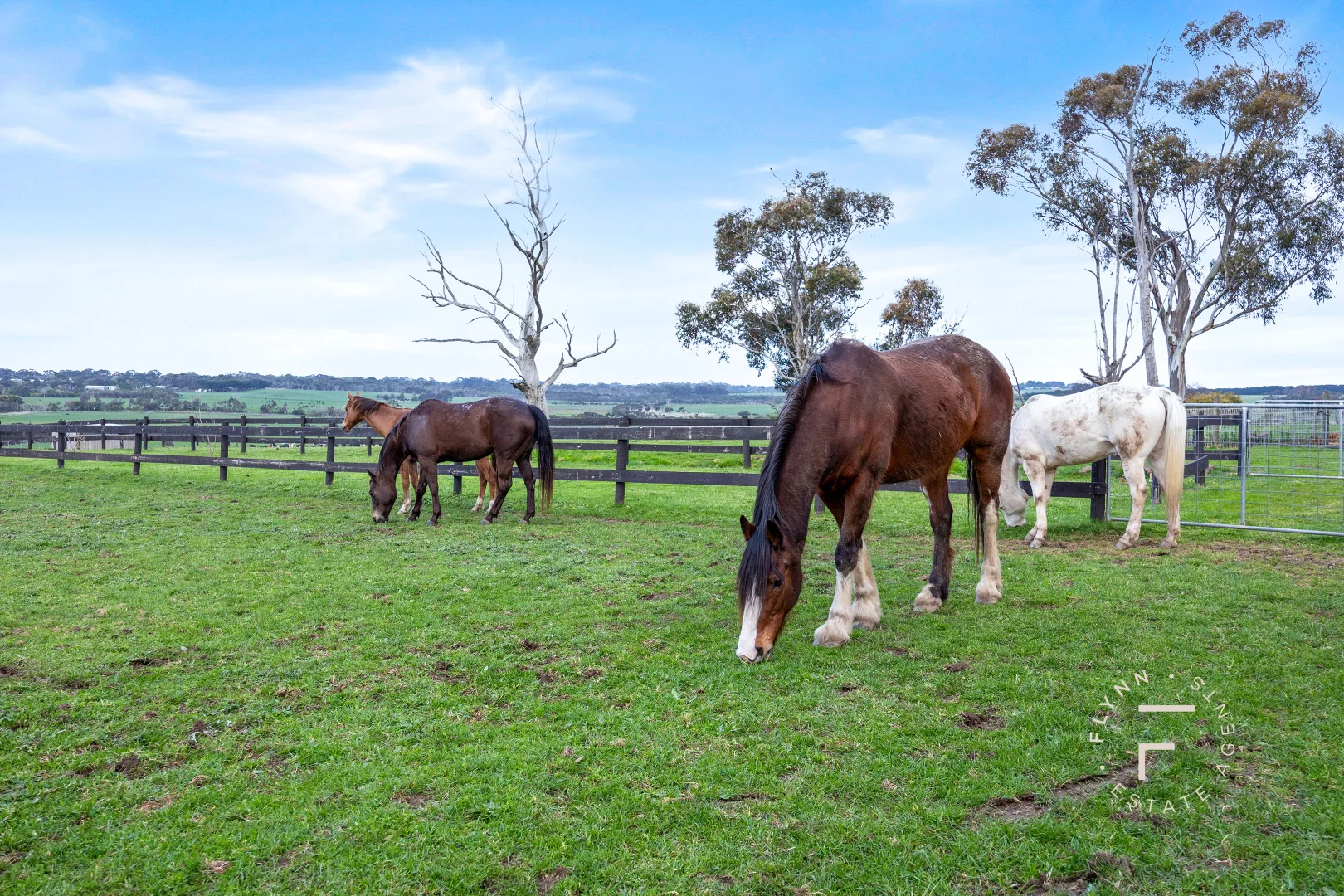 Additional image 20 of 443 Ventnor Road, Ventnor VIC 3922