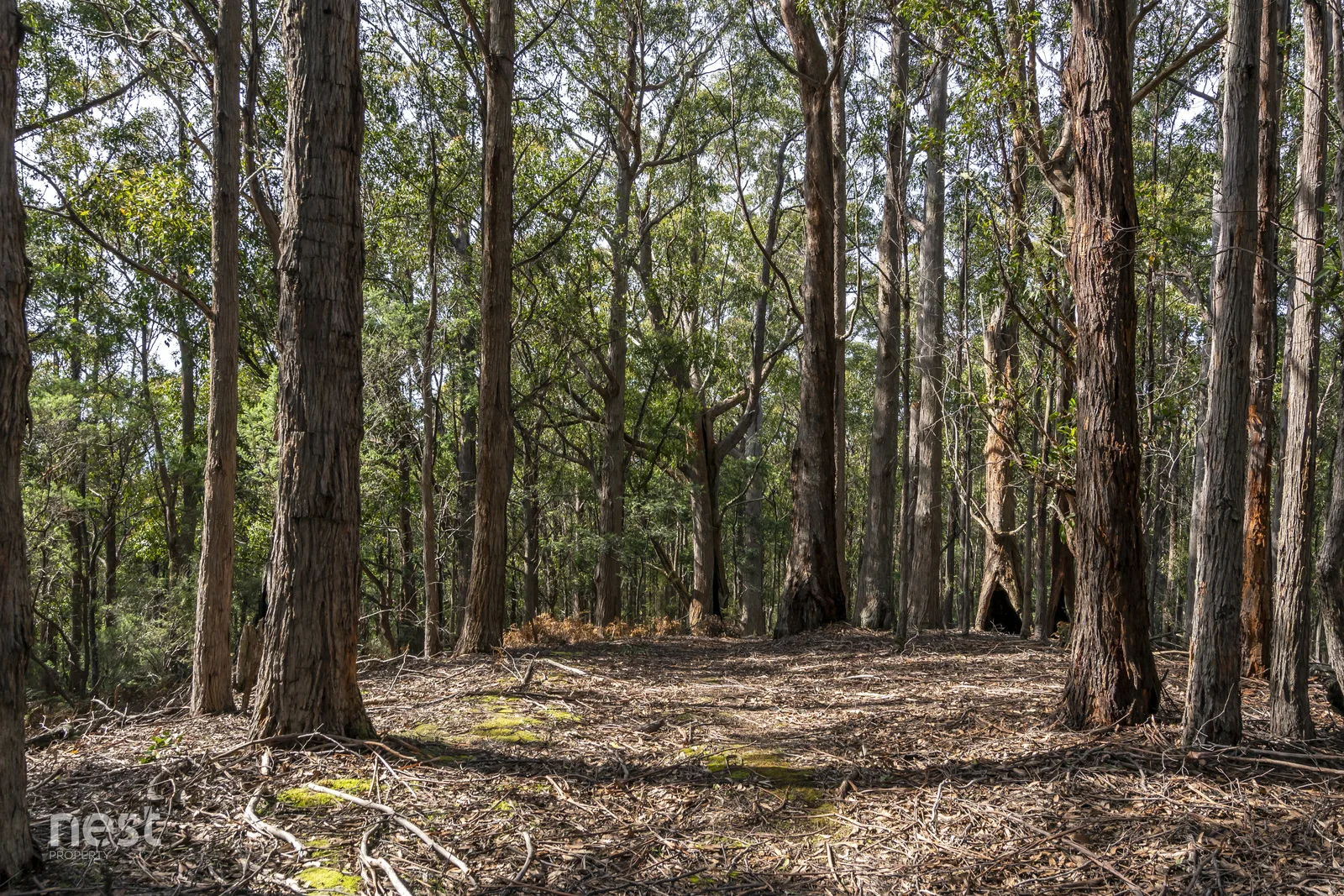 Additional image 9 of 405 Whittons Road, Kettering TAS 7155