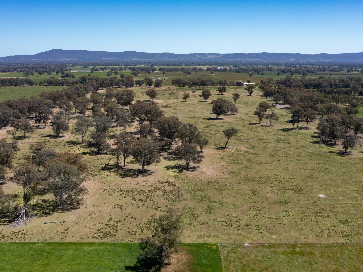 Additional image 10 of 377 Laceby-Targoora Road, Laceby VIC 3678