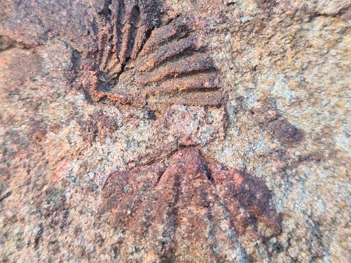 Additional image 24 of Illaroo NSW 2540