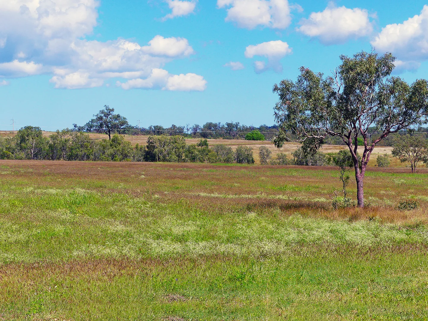 Additional image 26 of 0 'Spring Creek' Capricorn Highway, Westwood QLD 4702