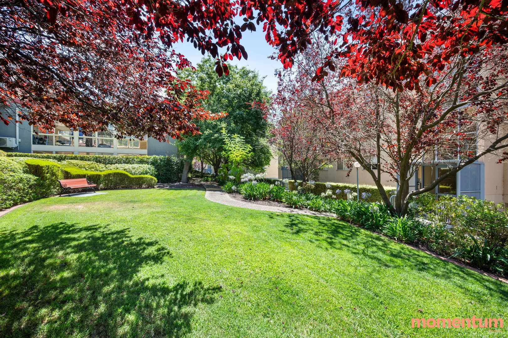 Additional image 15 of 51A/17 Chandler Street, Belconnen ACT 2617