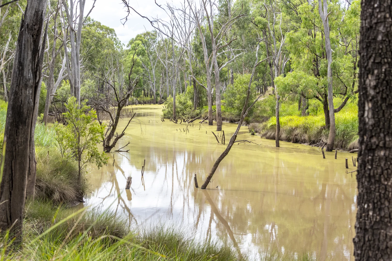 Additional image 26 of 127 Butlers Road, Miles QLD 4415
