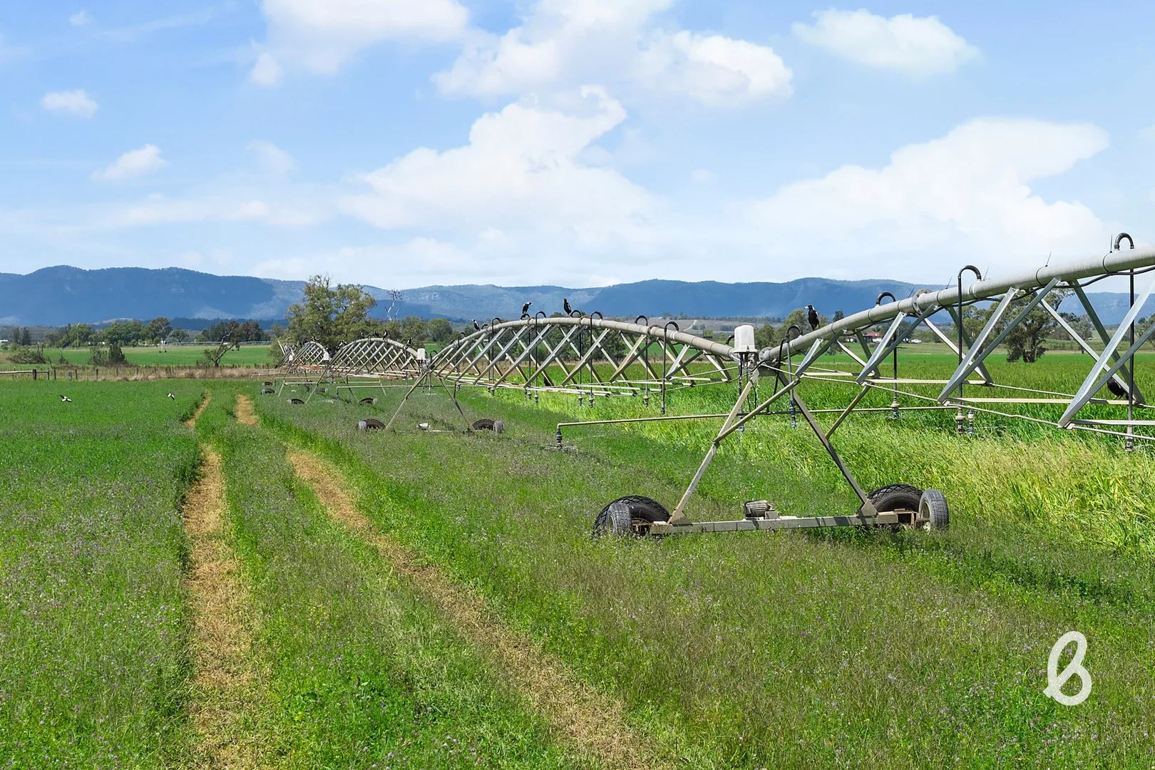 Additional image 55 of 204 Racecourse Lane, Singleton NSW 2330