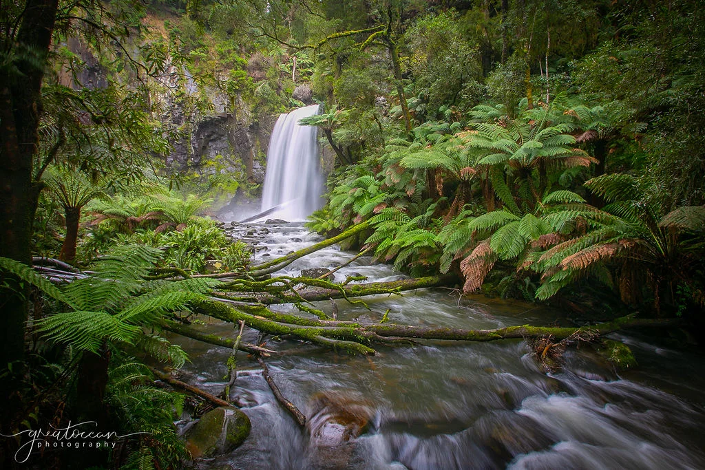 Additional image 13 of 33-39 Great Ocean Road, Lavers Hill VIC 3238