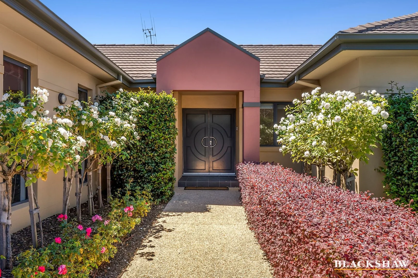 Additional image 2 of 5/317 Goyder Street, Narrabundah ACT 2604