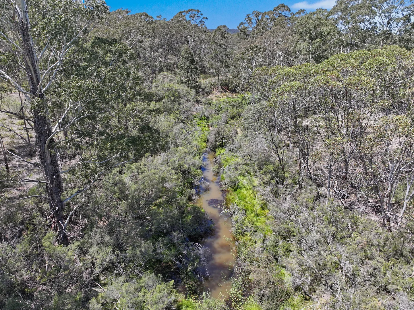 Additional image 11 of 760 Wallaces Gap Road, Braidwood NSW 2622