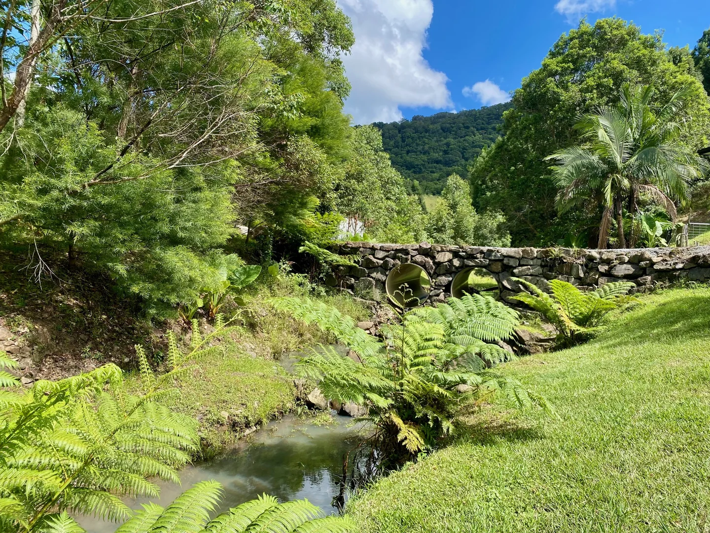 Additional image 7 of 1318 Currumbin Creek Road, Currumbin Valley QLD 4223