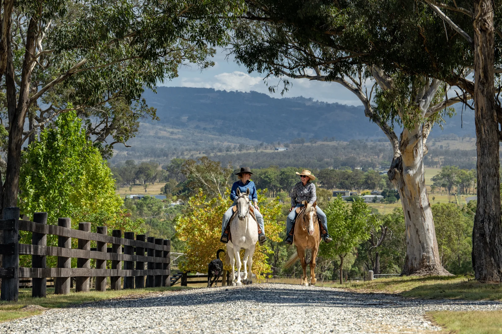 Additional image 3 of 1166 New England Highway, Tenterfield NSW 2372