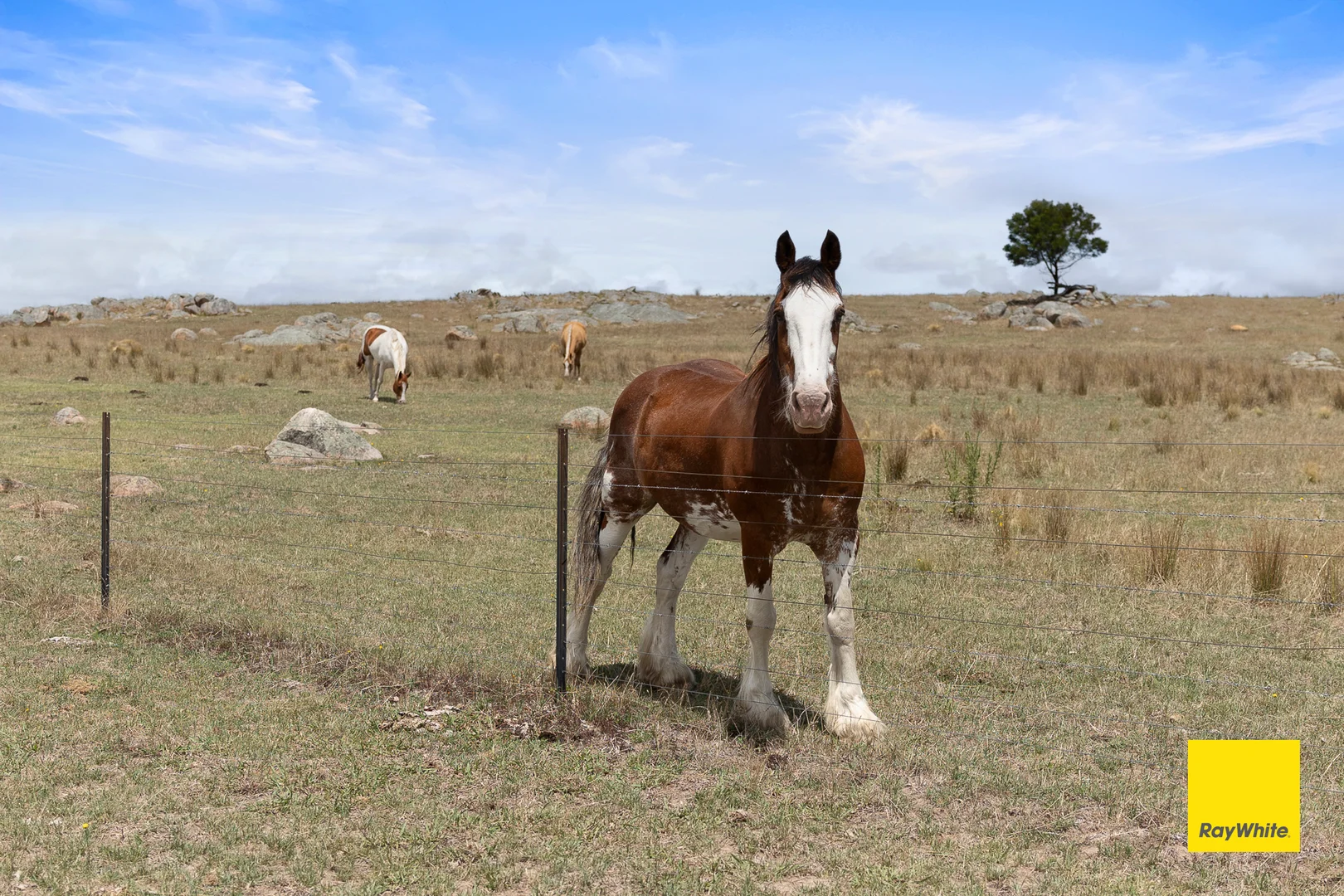 Additional image 33 of 1154 Goulburn Road, Boro NSW 2622