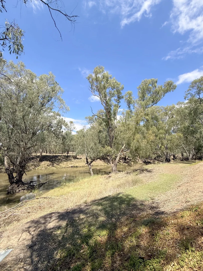 Additional image 65 of 506 North Forbes Rd, Condobolin NSW 2877