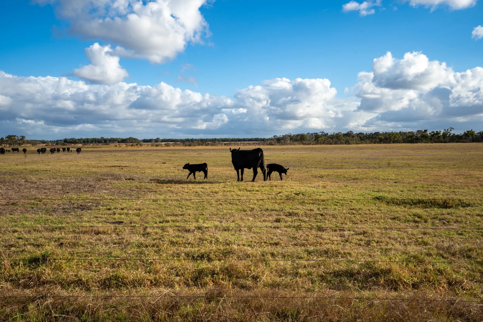 Additional image 2 of Lot 474 Yellanup Road, Narrikup WA 6326