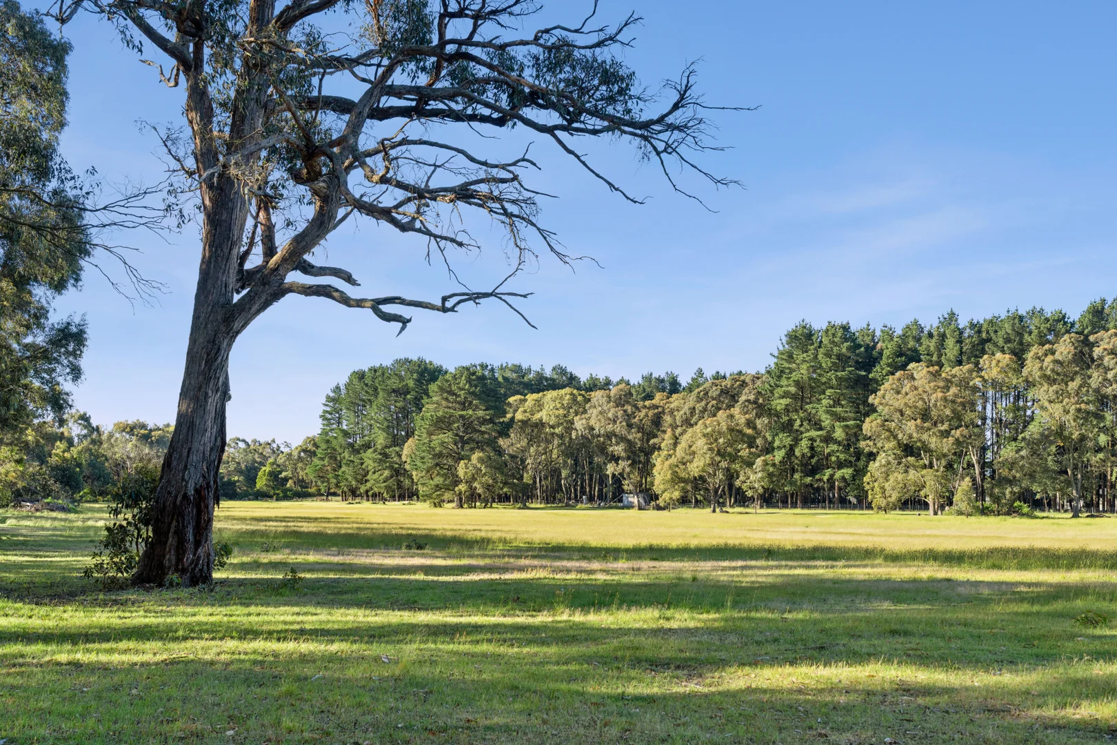 Additional image 12 of 43 Boundary Road, Woodend VIC 3442